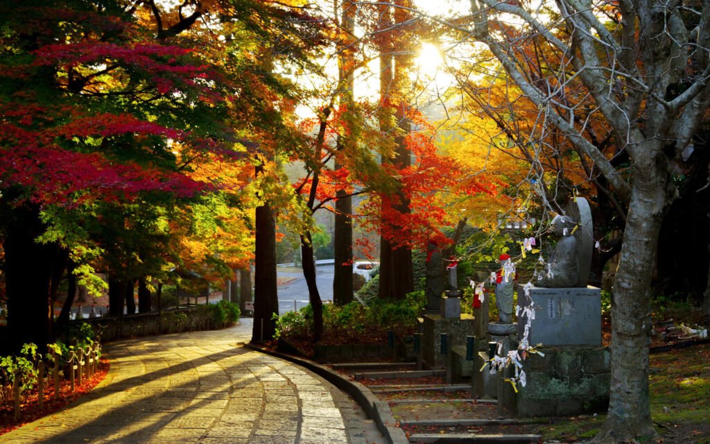 ⛩️ 소녀 신사 (오토메 진자) 이미지 7